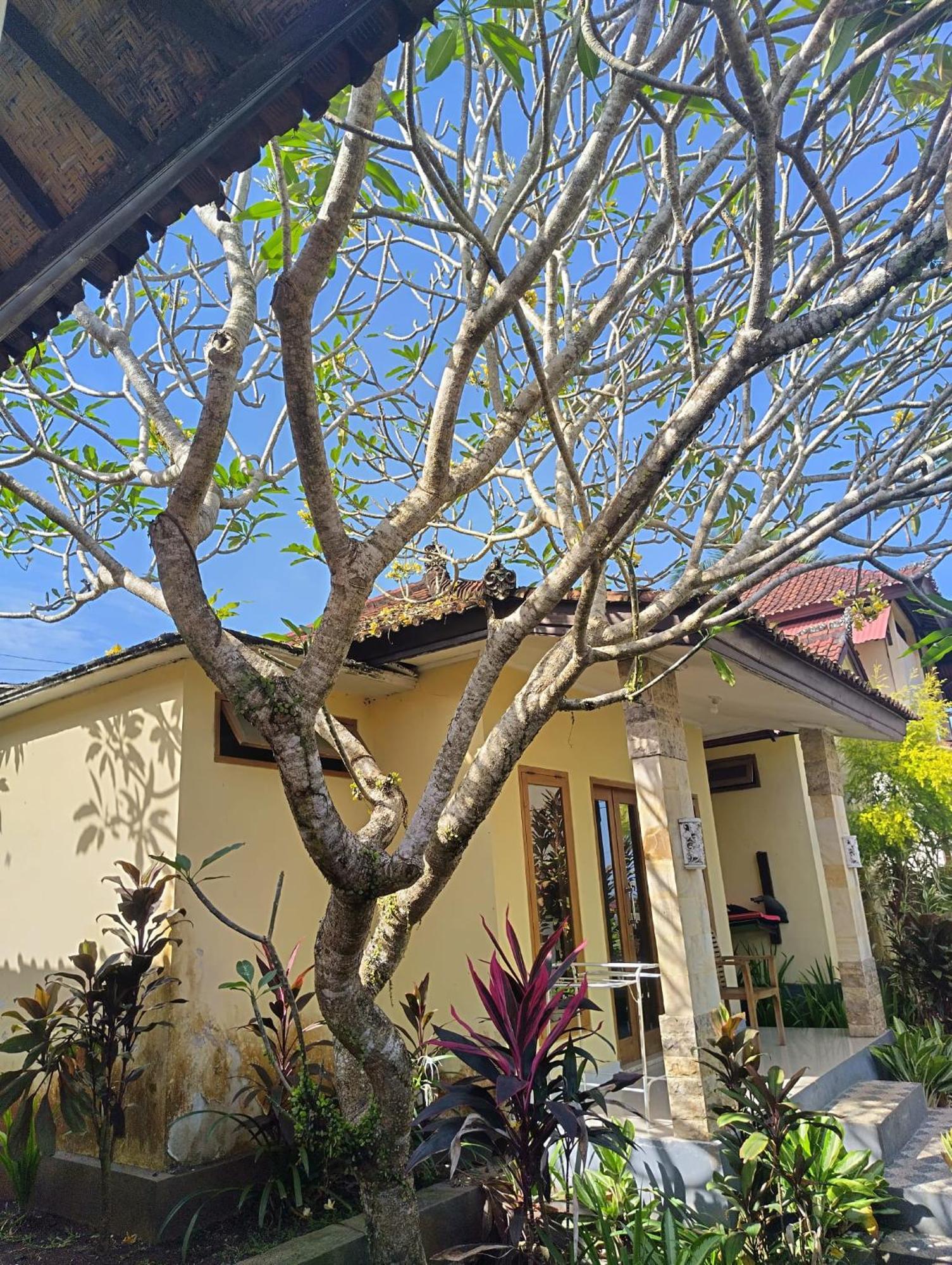 Kirra'S Beach House Pulukan Exterior foto
